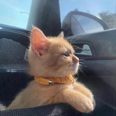 Fajar Nugraha avatar